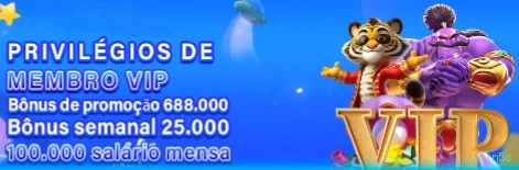 Login seguro na win5s
